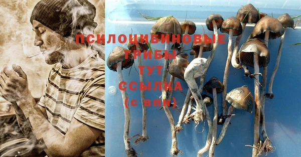 соль курить ск Грязовец