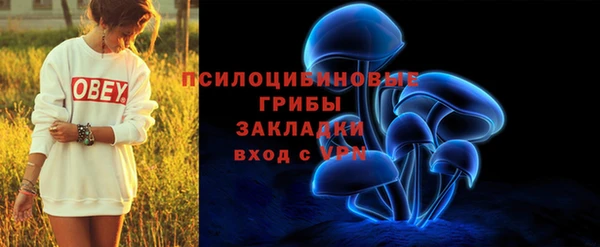 мдпв Лиски