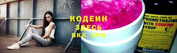 2c-b Лагань