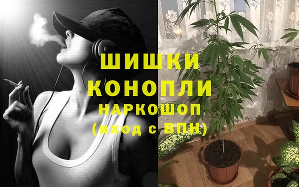 мдпв Лиски
