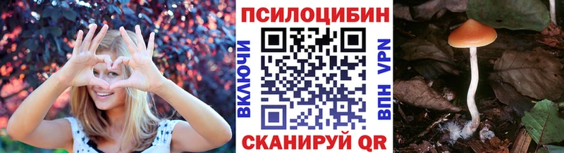 ОМГ ОМГ онион  Лосино-Петровский  Псилоцибиновые грибы Magic Shrooms 