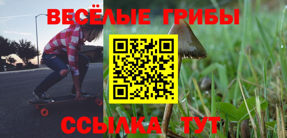 Псилоцибиновые грибы мицелий  Вход с VPN  Лосино-Петровский  Галлюциногенные грибы Psilocybine cubensis 