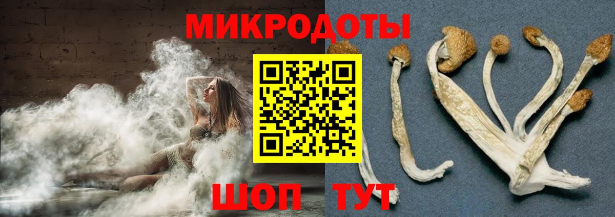 Псилоцибиновые грибы Cubensis Лосино-Петровский